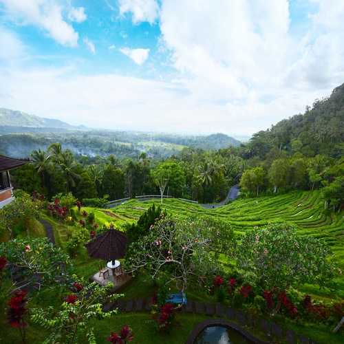 Rijstvelden Jatiluwih