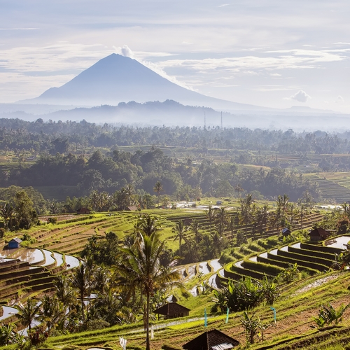 Jatiluwih rijstvelden met Mount Agung